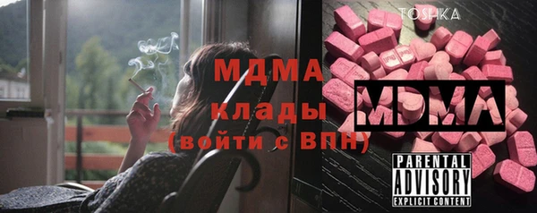 индика Карпинск