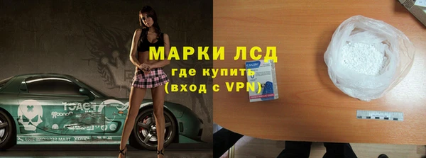 индика Карпинск