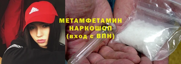индика Карпинск