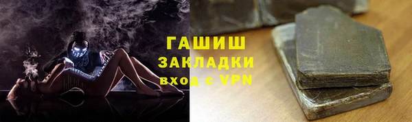 индика Карпинск