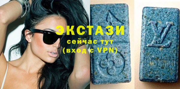 индика Карпинск