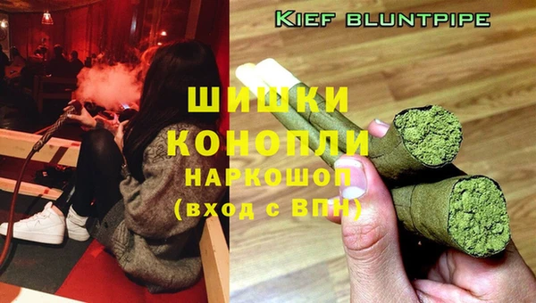 индика Карпинск
