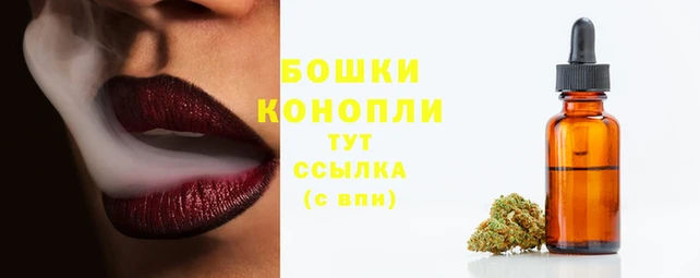 индика Карпинск
