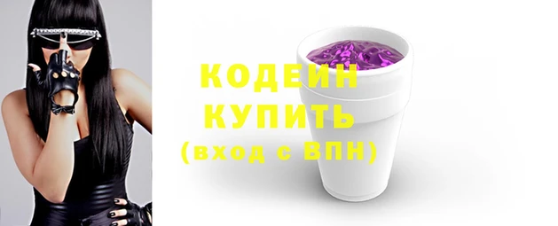индика Карпинск