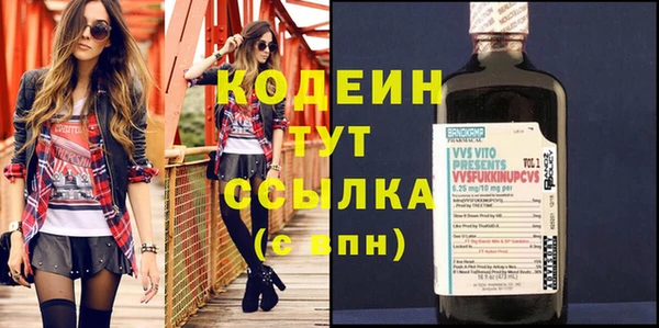 индика Карпинск