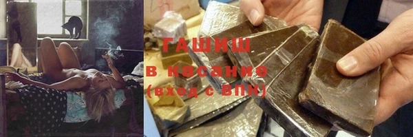 индика Карпинск