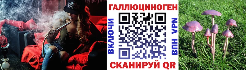 Галлюциногенные грибы MAGIC MUSHROOMS  Купить закладки  Нахабино 